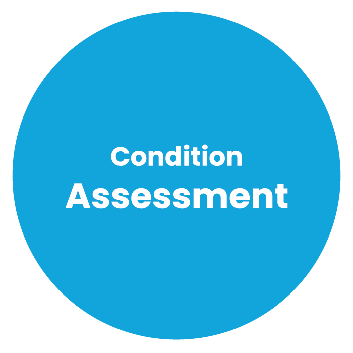 condition assessment